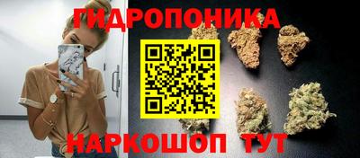 стаф Красноармейск