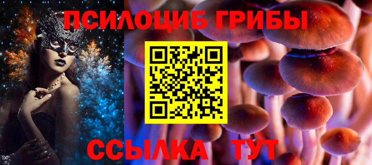 Елизово  хочу наркоту  Вход с VPN  Псилоцибиновые грибы мицелий 