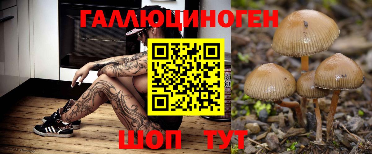 Псилоцибиновые грибы GOLDEN TEACHER Елизово