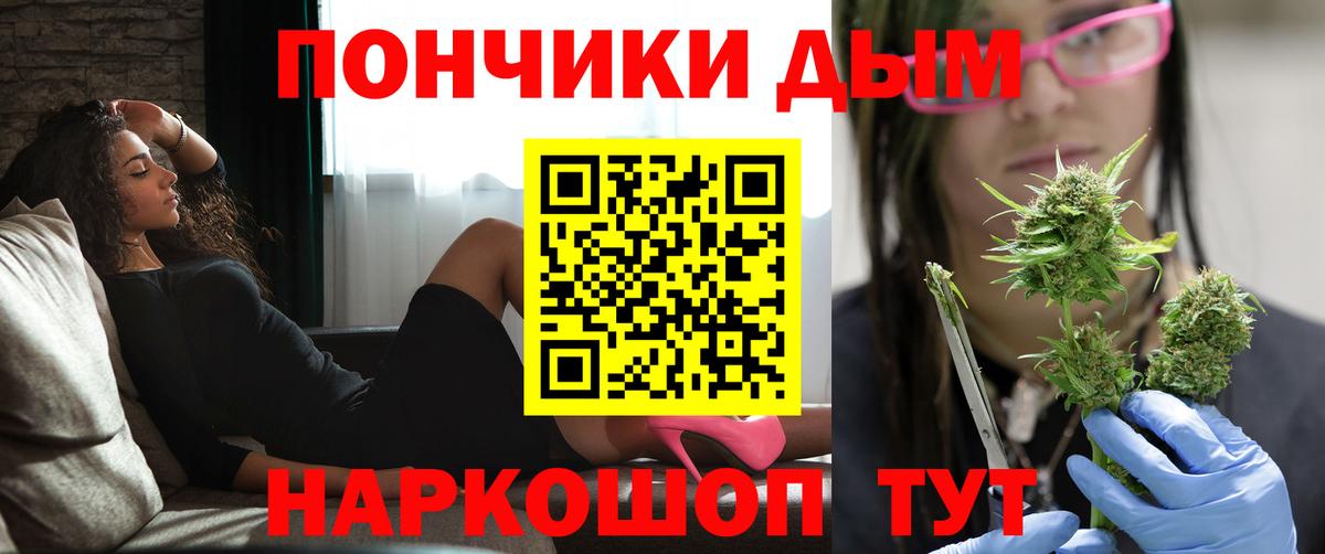Бошки марихуана ГИДРОПОН  Бошки марихуана VHQ  Елизово  Вход с VPN  Марихуана планчик 
